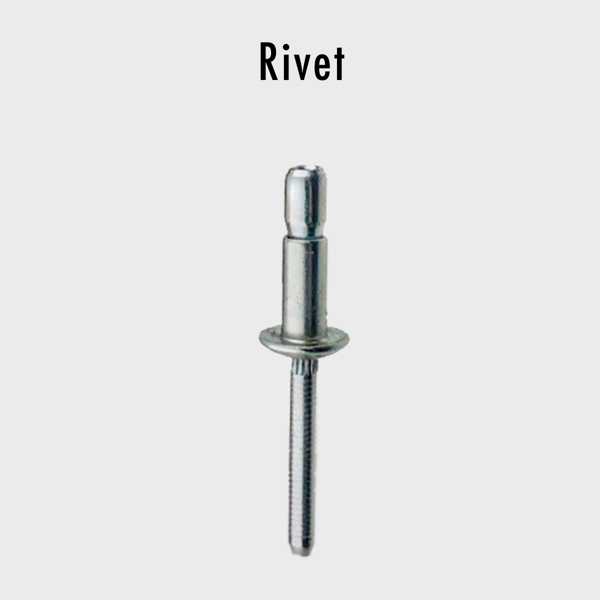 Rivet